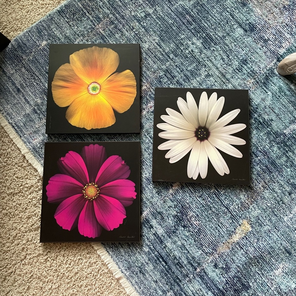 Hanging Flower artwork